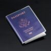 Owfeel 5pcs Frosted Plastic Passport Cover Passport Protector+10pcs Clear Plastic ID Credit Card Holder